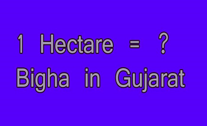 1 Hectare to Bigha